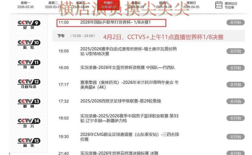 盘点世界杯买球平台：从访问方式到直播观看全流程解析 - 世界杯高清直播